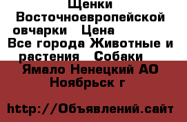 Щенки Восточноевропейской овчарки › Цена ­ 25 000 - Все города Животные и растения » Собаки   . Ямало-Ненецкий АО,Ноябрьск г.